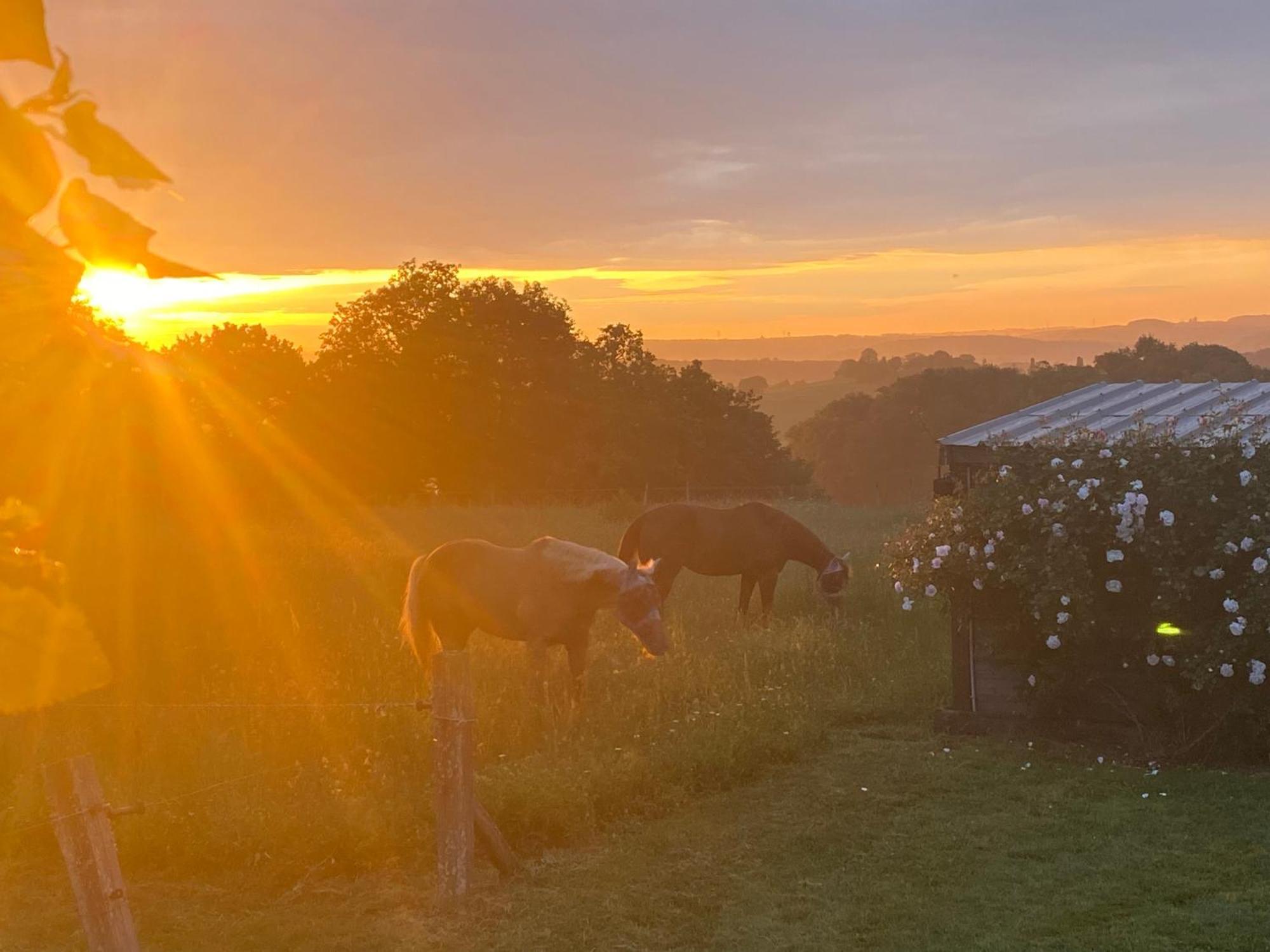 Logement Entier De Charme, Gite Equestre Gers Flamarens Exterior foto